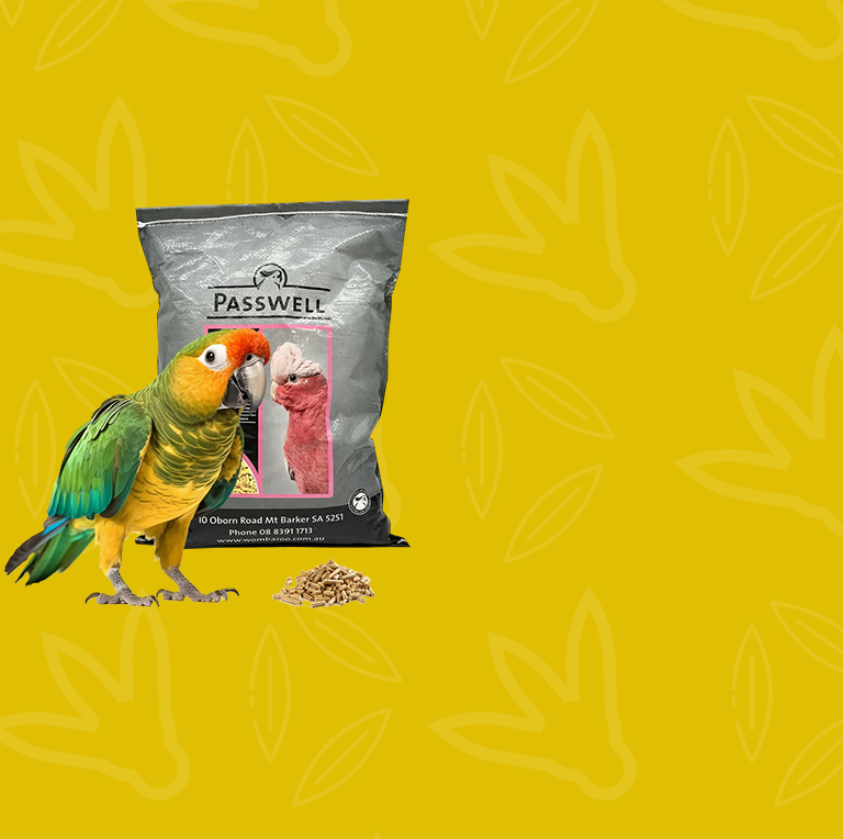 1536x901px-parrot