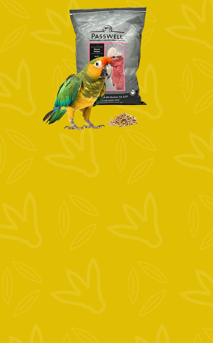 720x1160px-mobile-parrot